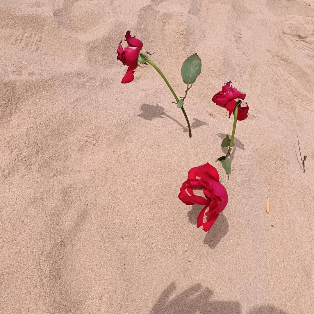 余生可待