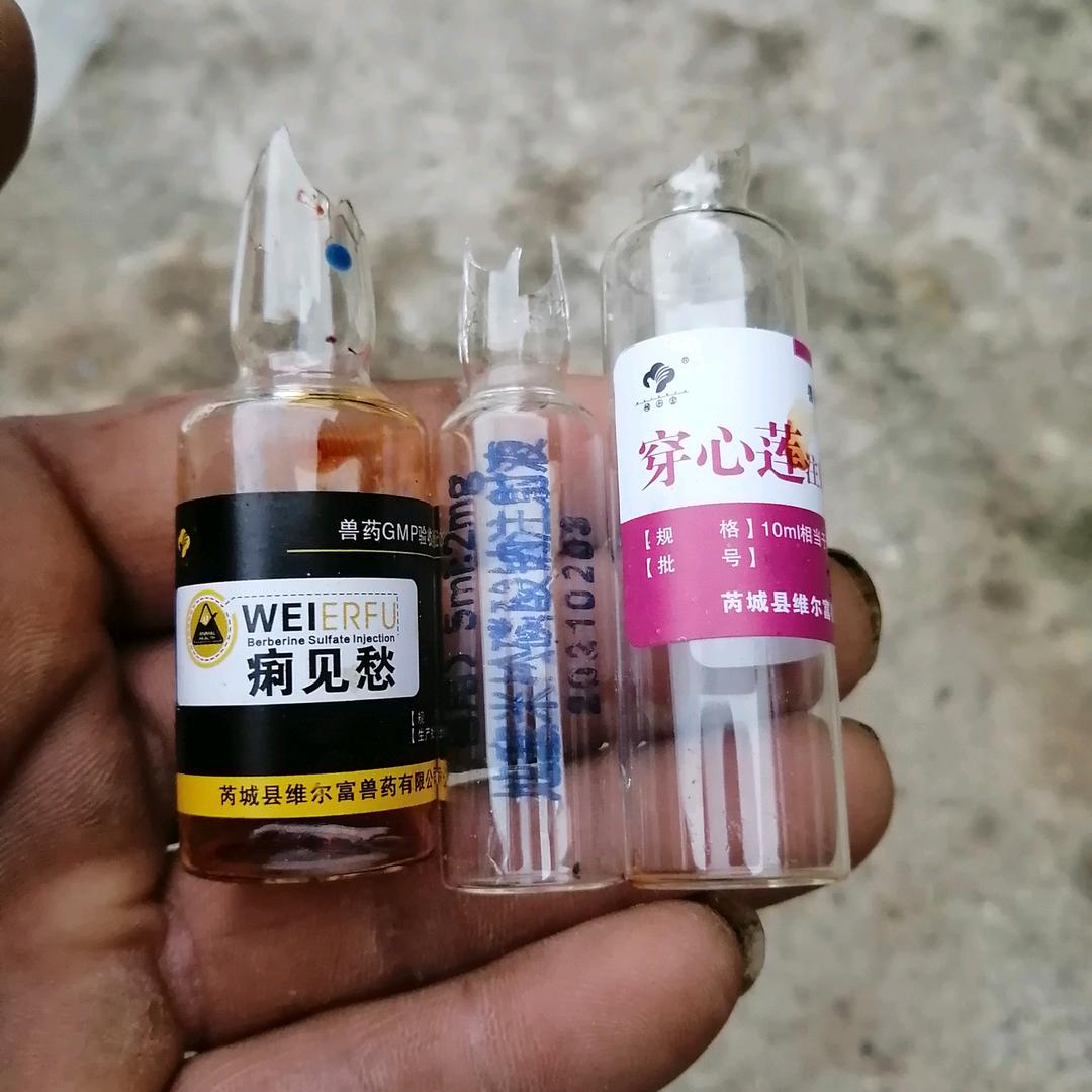 我爱你一生