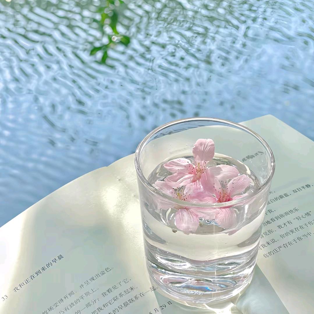 🌼糖果🌸🍭