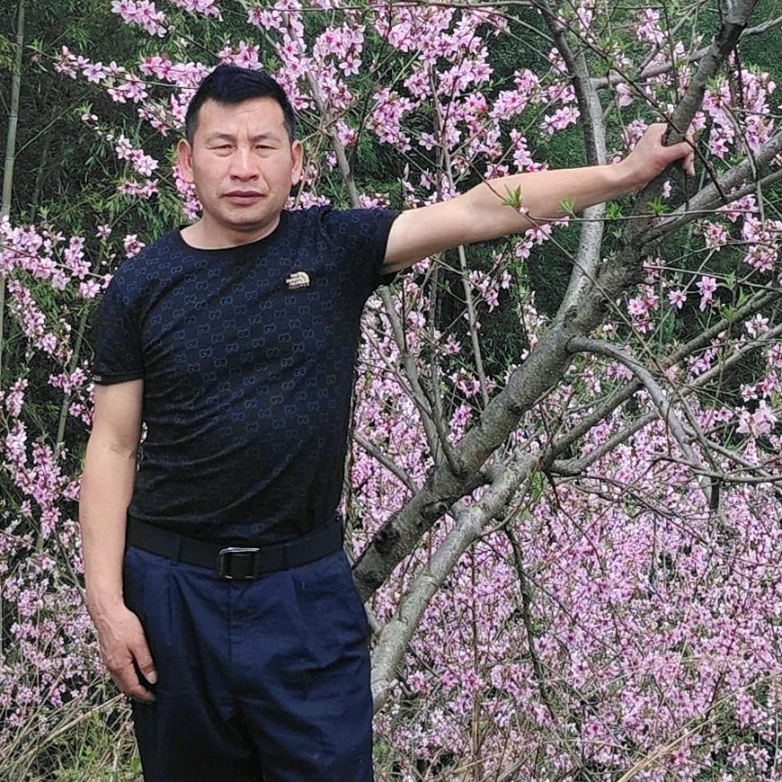 护花神鹰ο▬▬▬◙▅▆▇◤