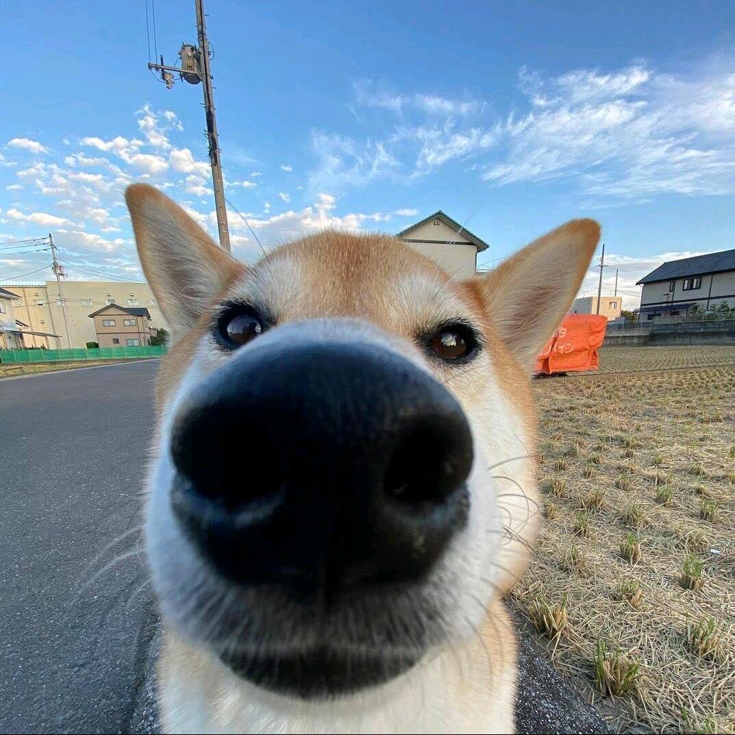 慢慢来