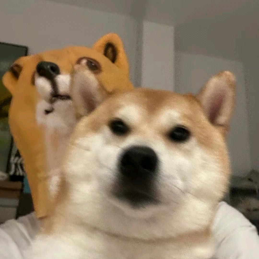 🥔薯薯芥了个蓝🥦