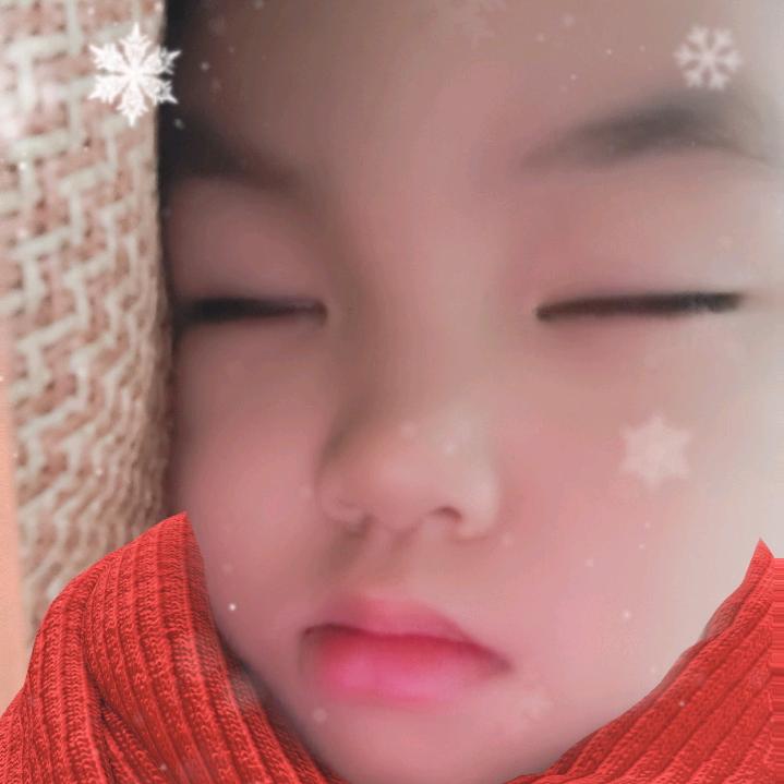 粤西货运(珠三角～粤西)