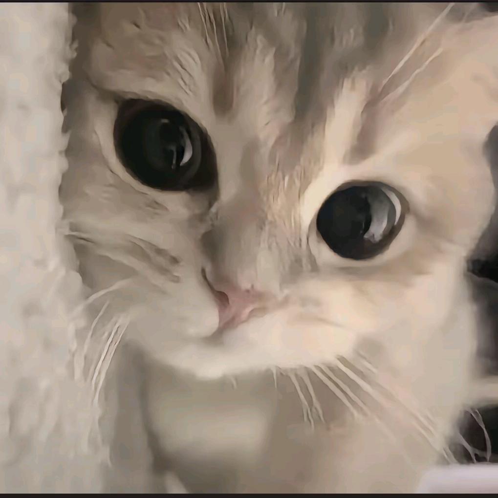 阿词