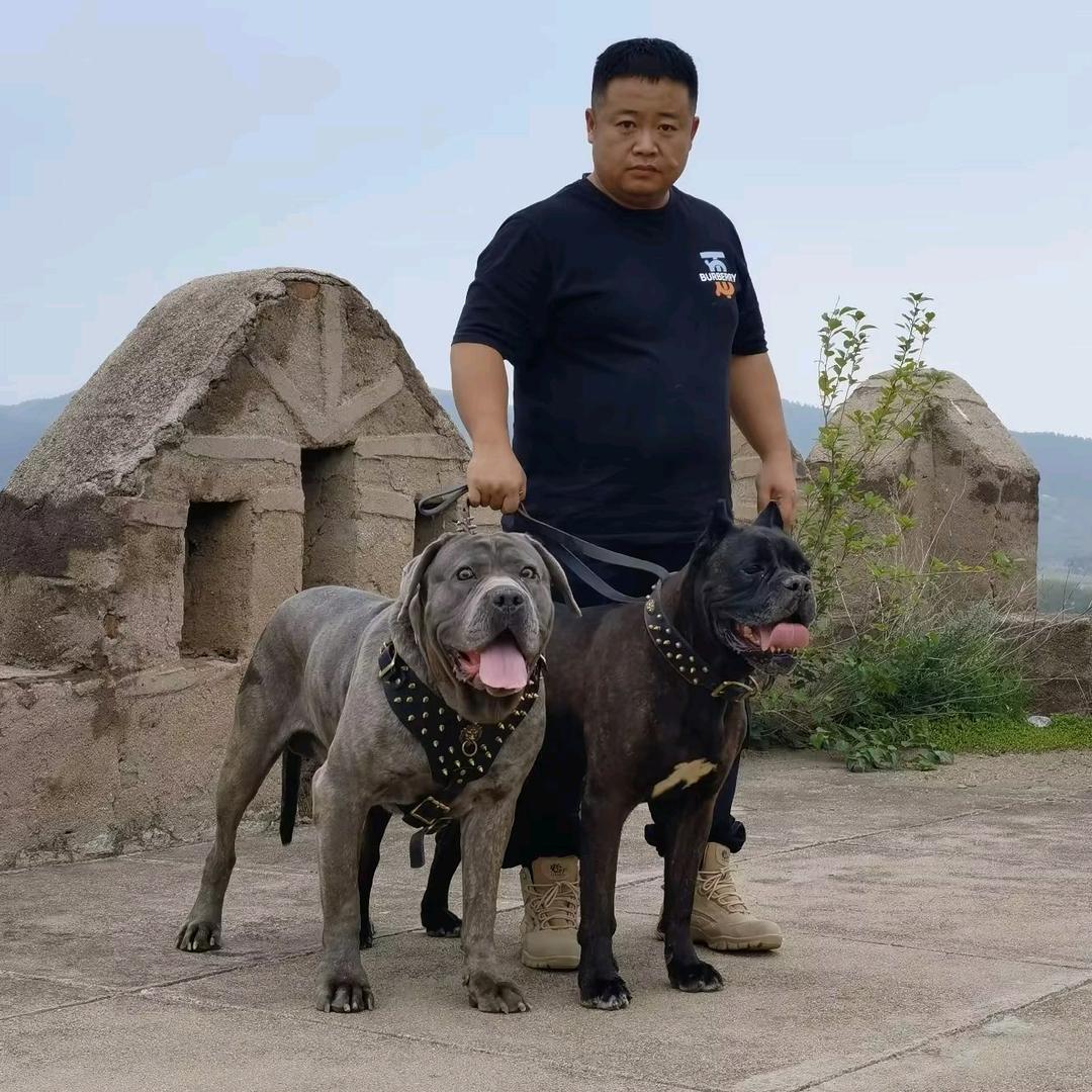 无言-大物湖农场