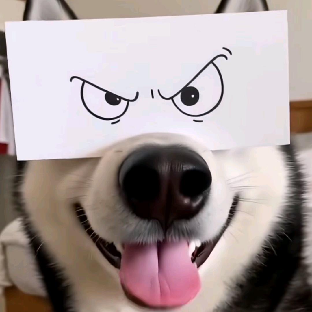 是飞哥啊