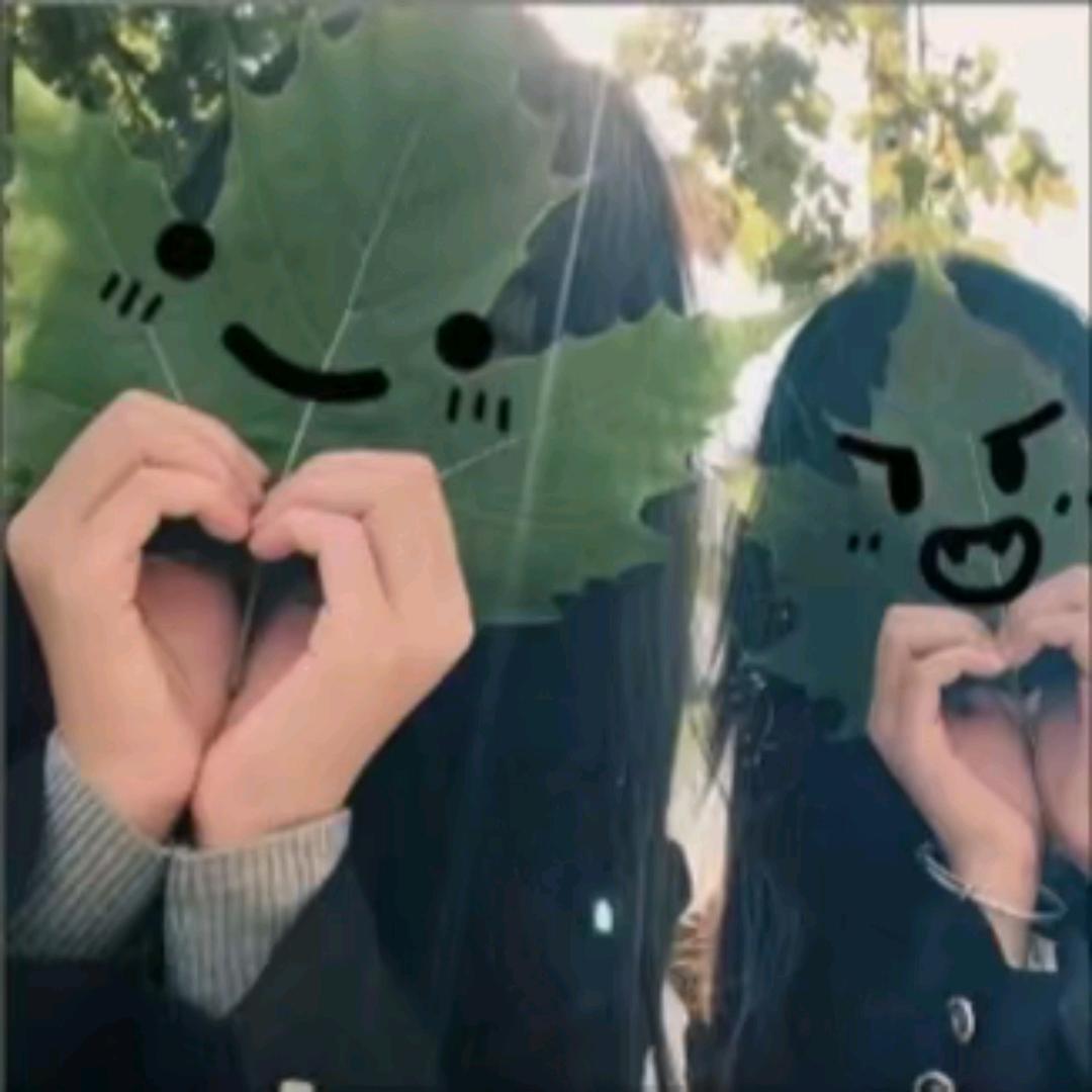 呆绪^