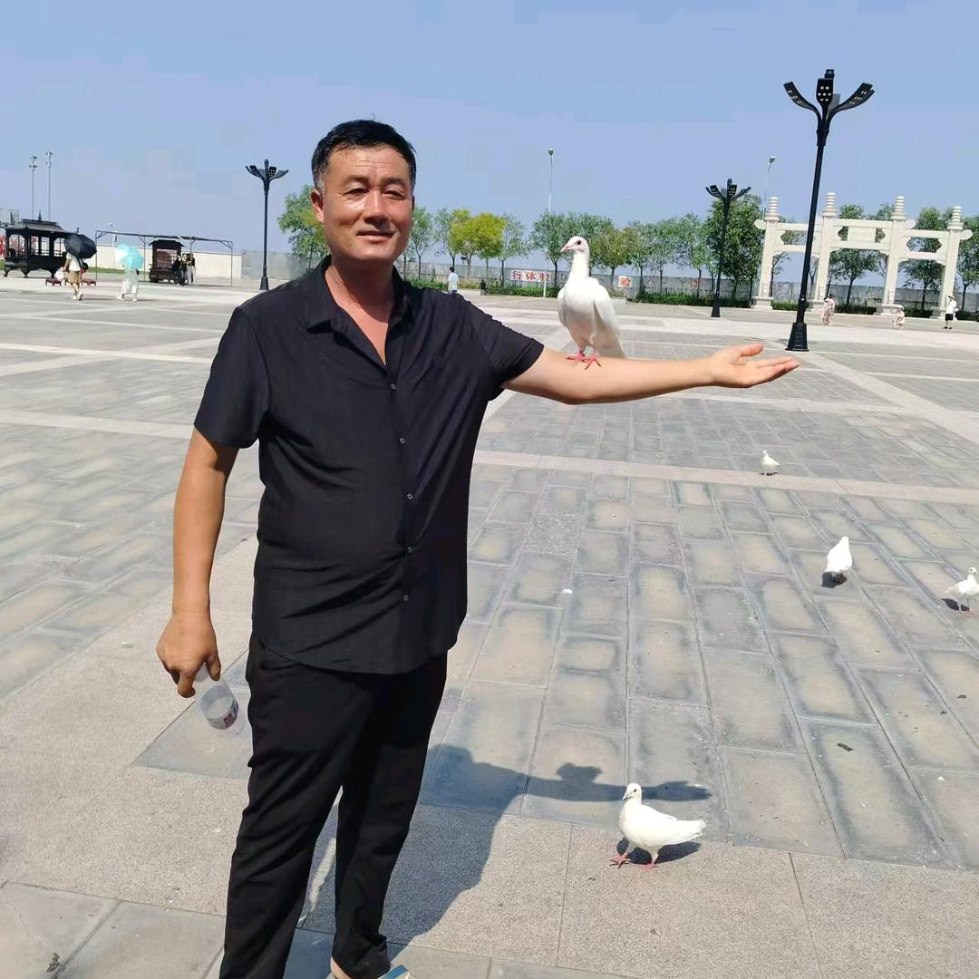 潞潞畅通