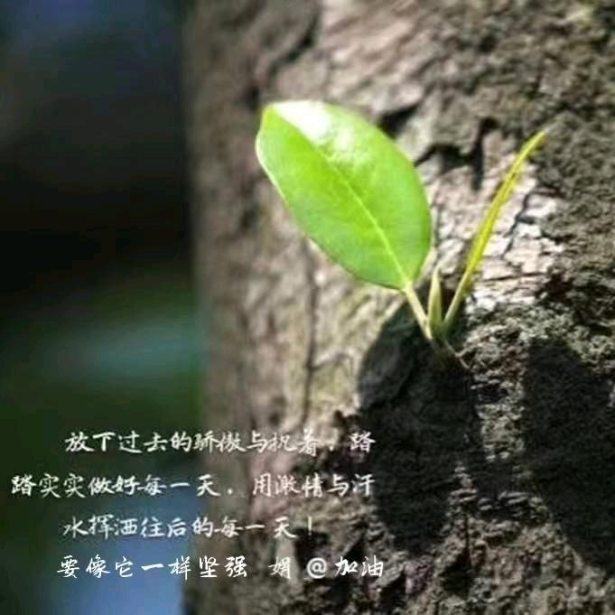 沉默！冷静！！