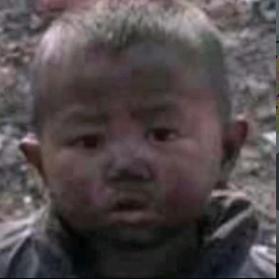 一只想去老君山巡逻的灵宝大肥雕🍀