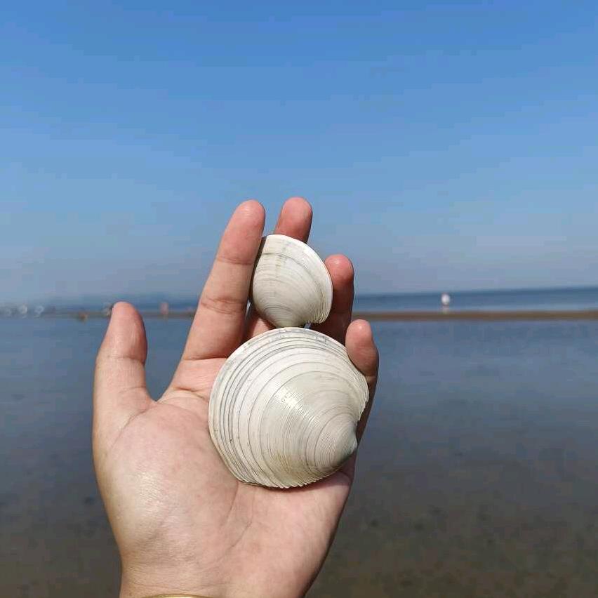 太阳当空赵