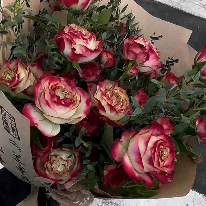 经🌬️风雨🌧️人