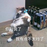 街边糯米鸡