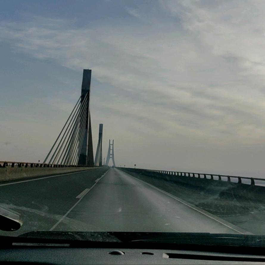 四象守护下的交杯酒