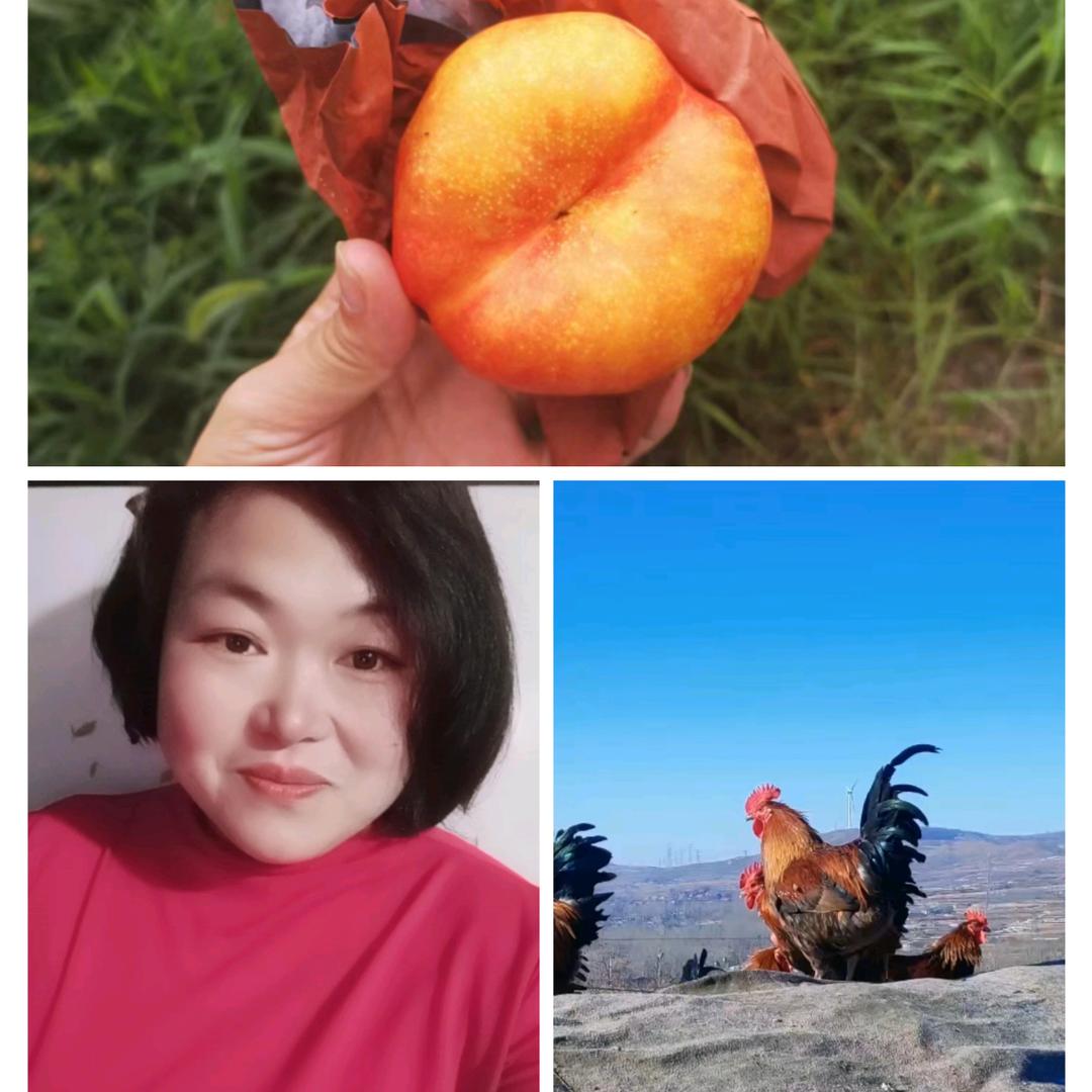 A桃夫人❤博览园