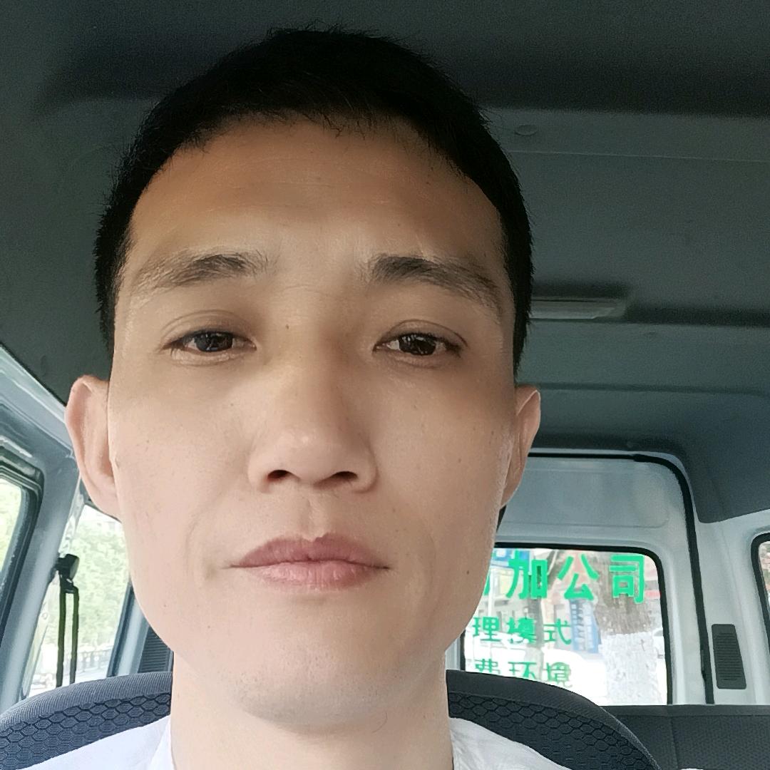 维达