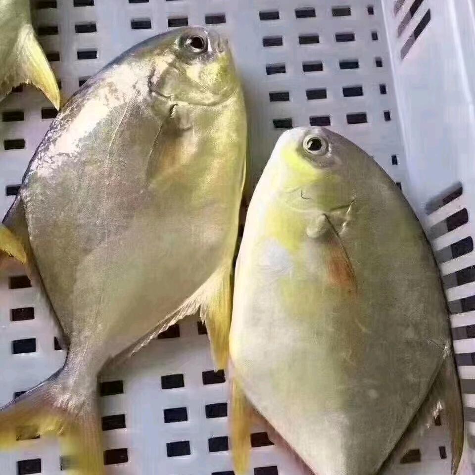 一✌🏻暴富