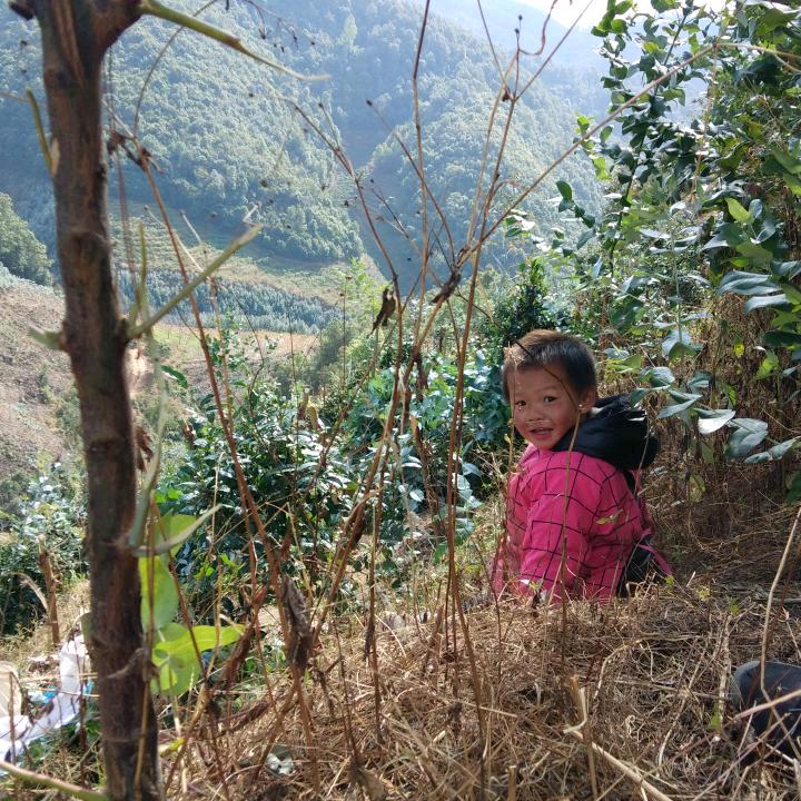 ꧁᭄ ꧂前途辉黄꧁᭄ ꧂