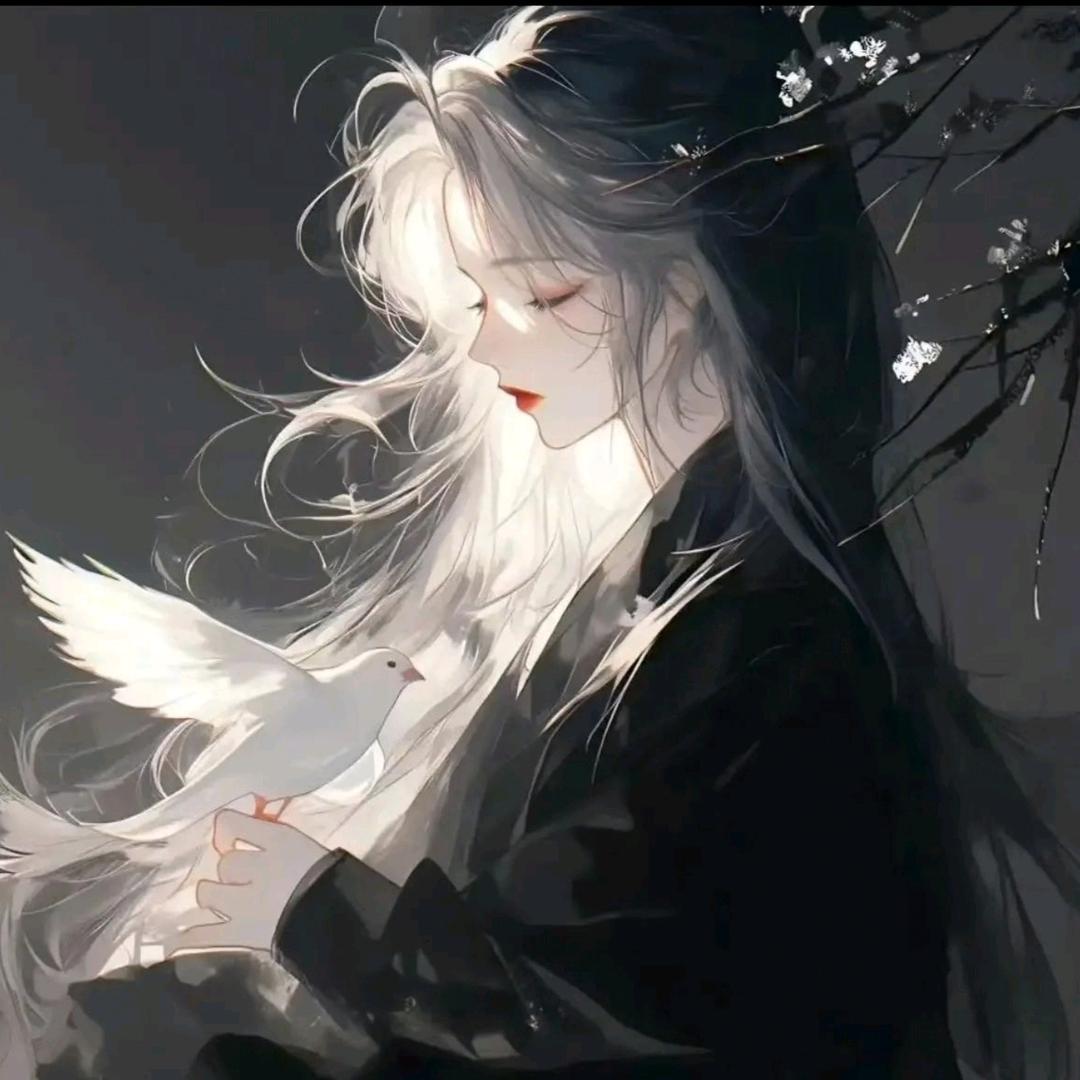 𝓚𝓵.梦夜