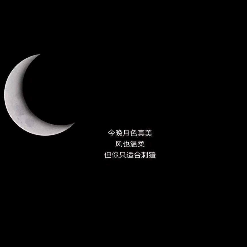 刺猹
