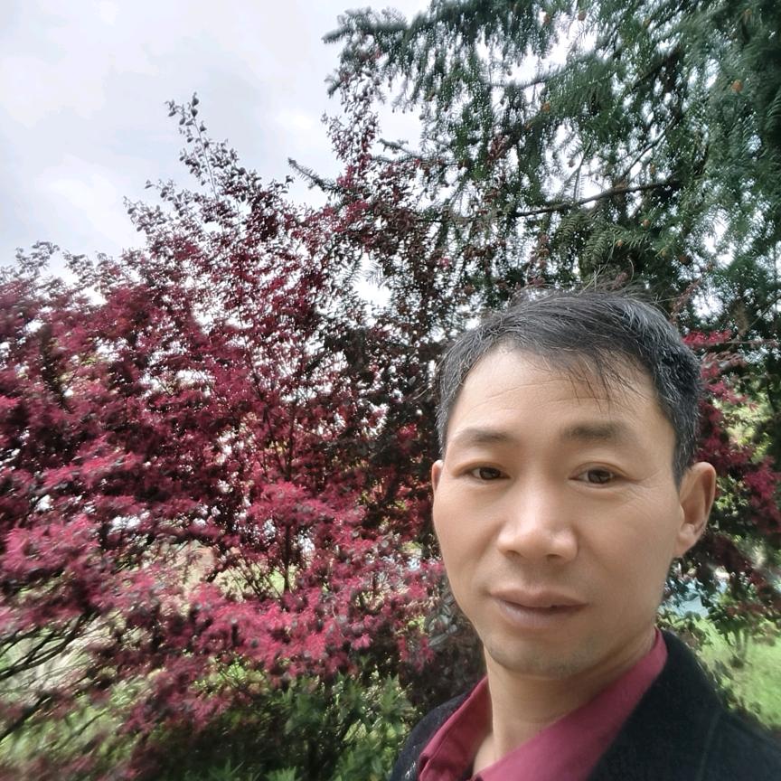 杨哥中午1点10分开播