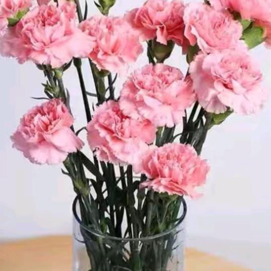 王🌷🌷