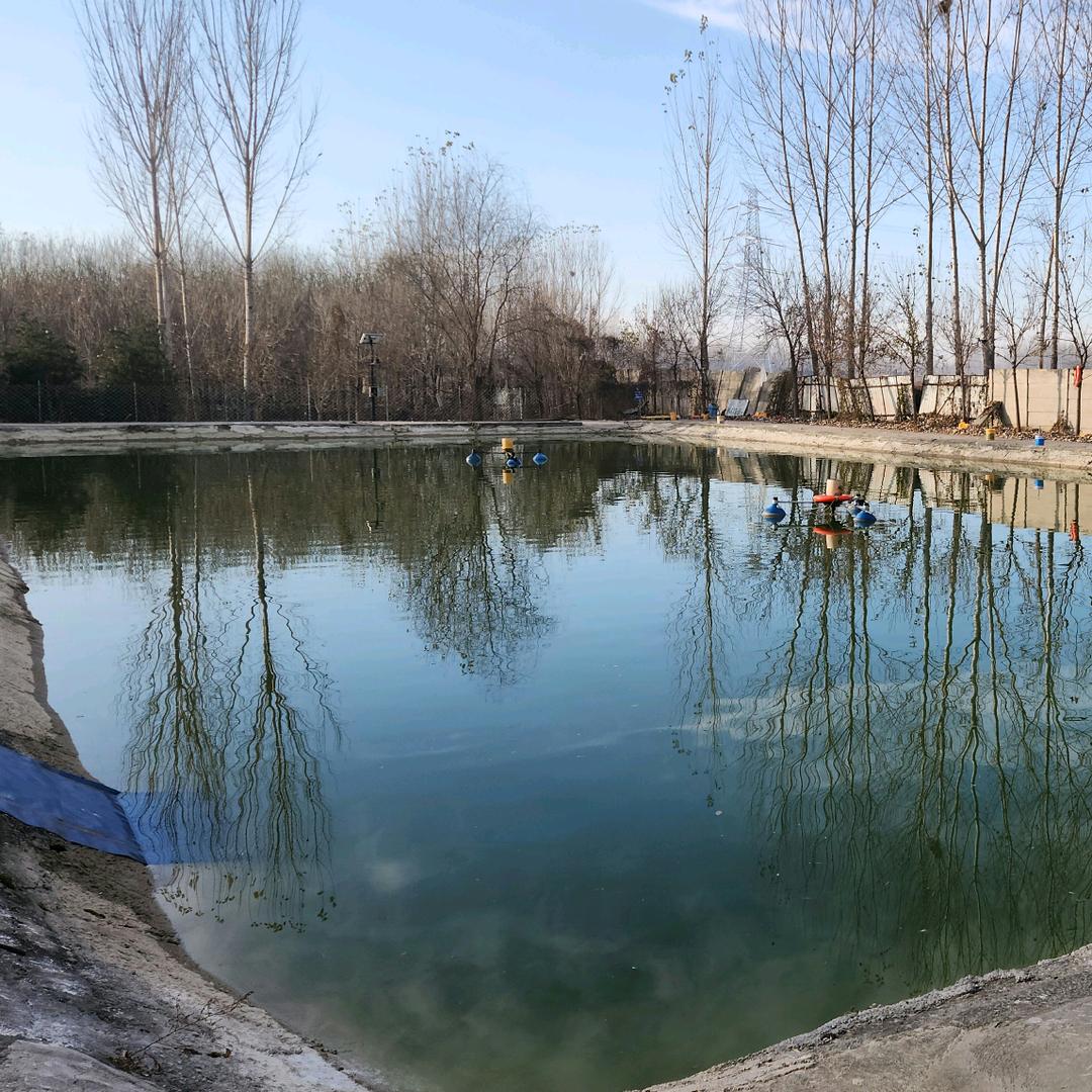 涞水芝囒园垂钓园