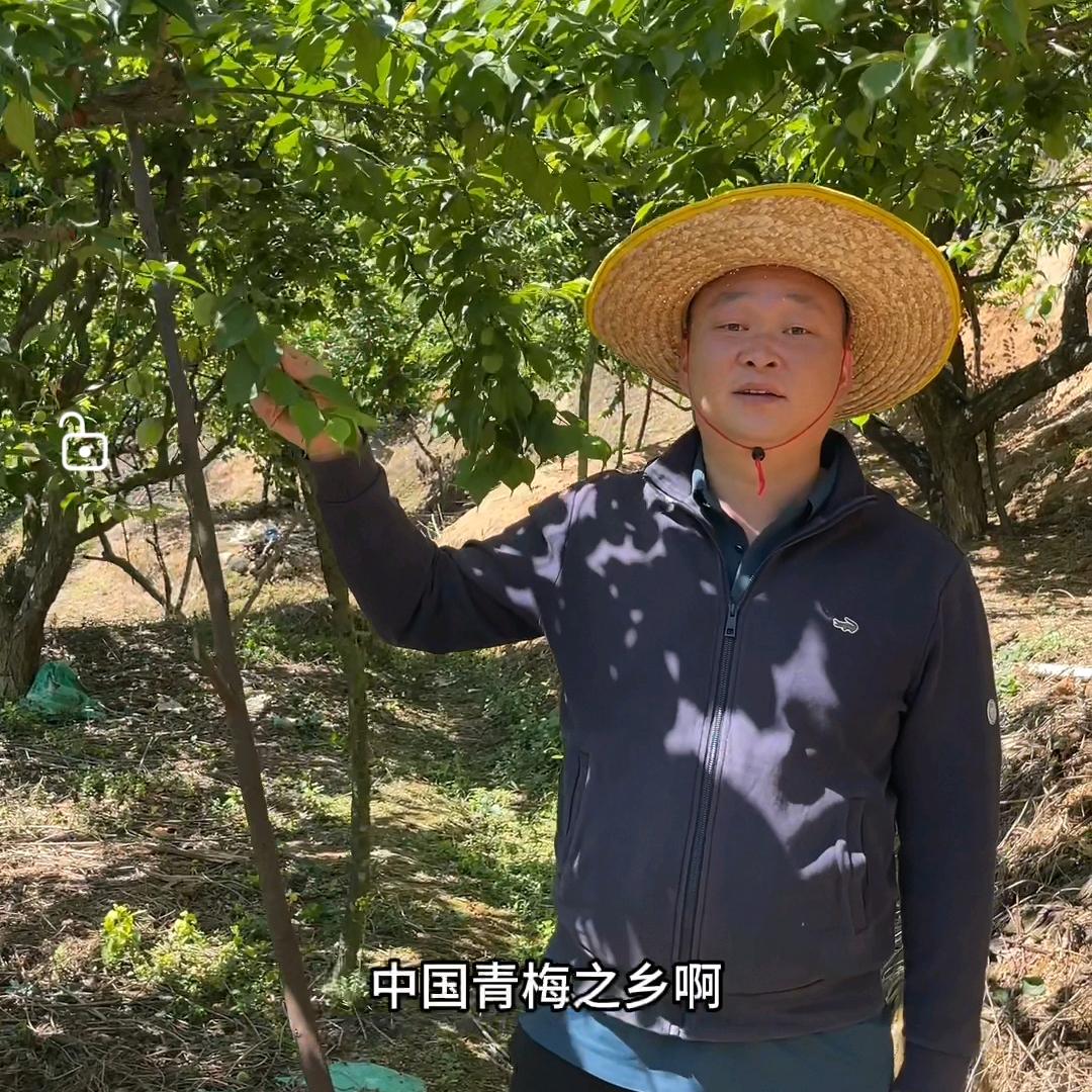 大胡子现摘鲜果