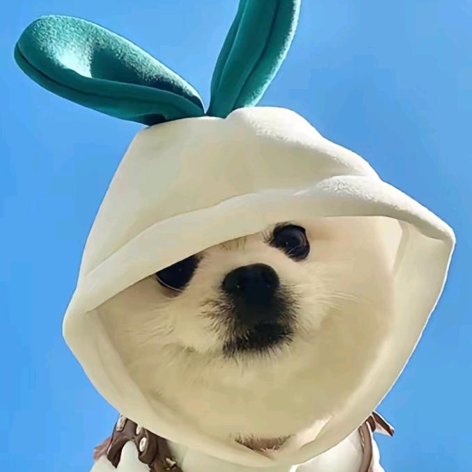 森深