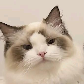 mau