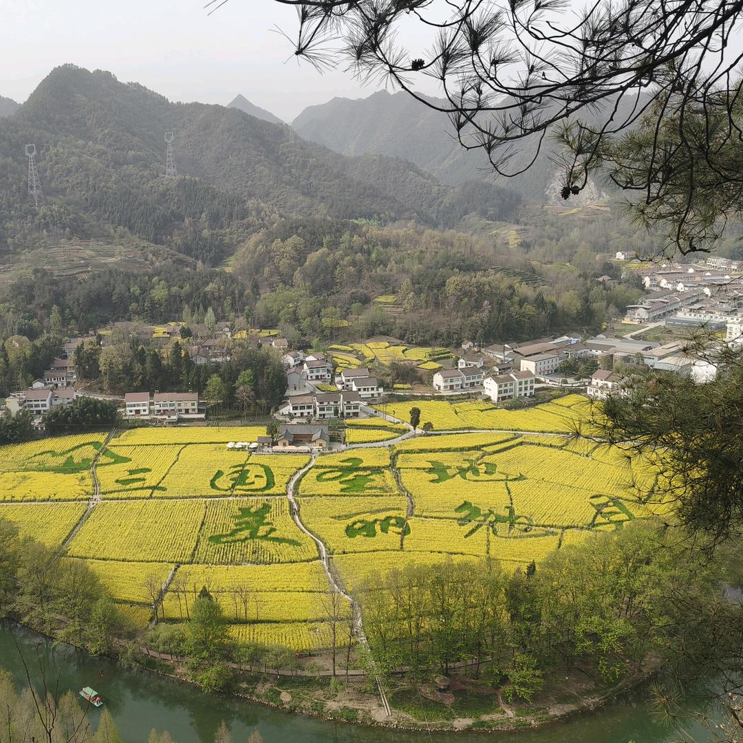 宁风逸影