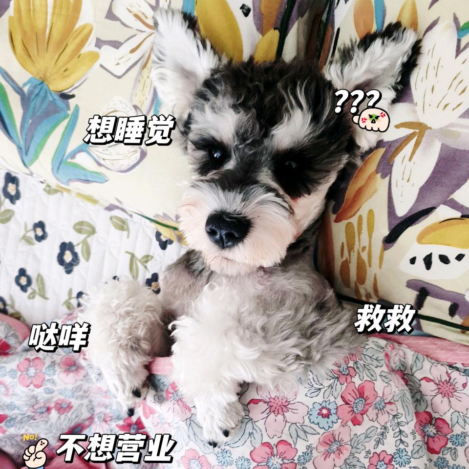 囍財