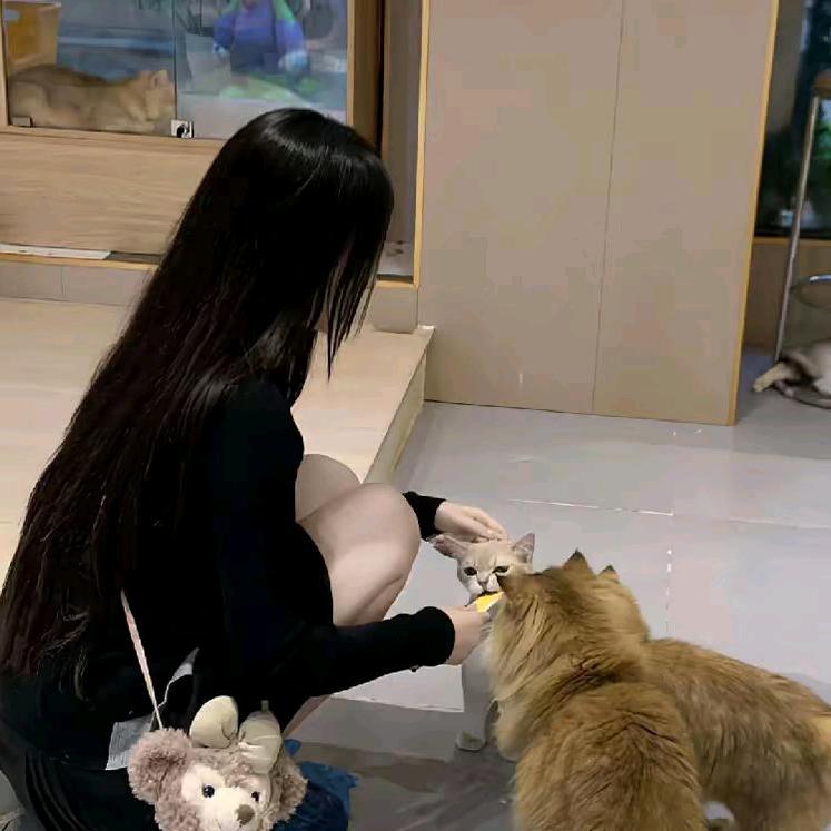 糖宝儿.34