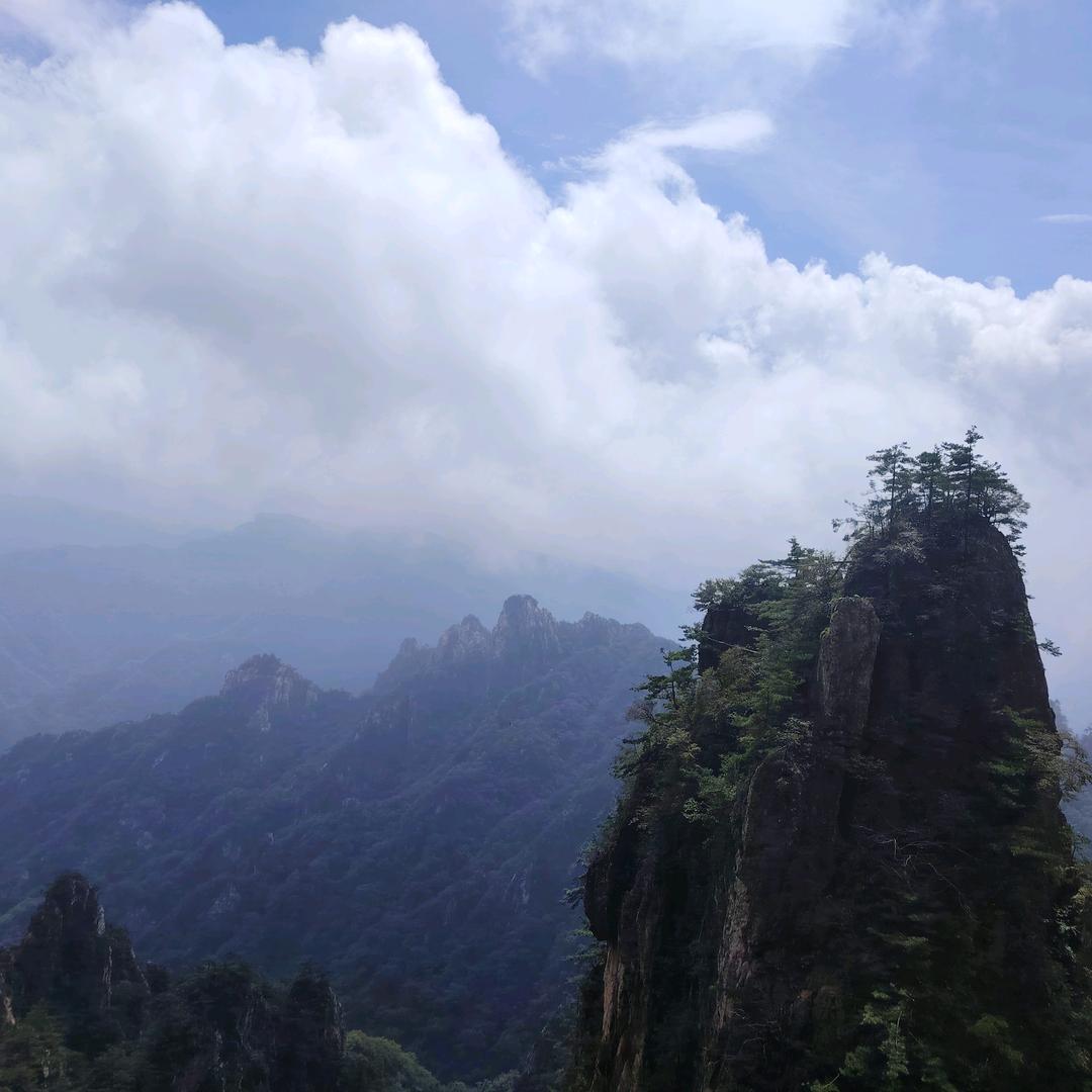 小才才