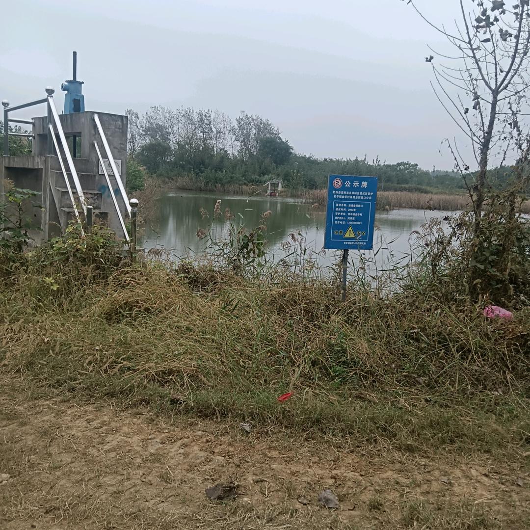 楚庆峰