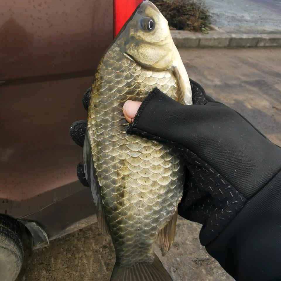 浩爱钓鱼🎣