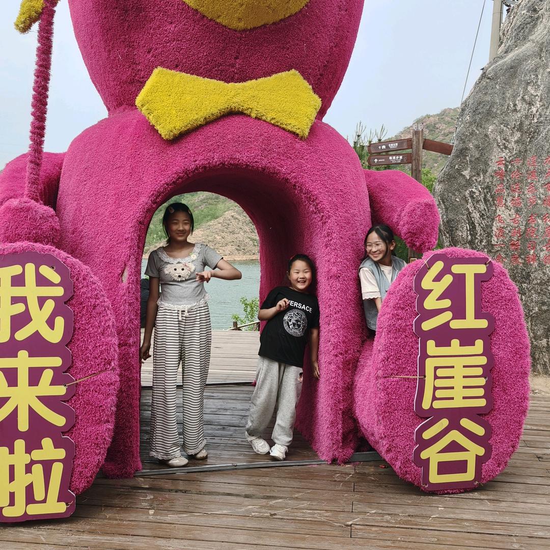 老姨子