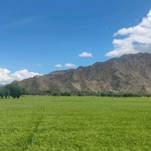 海口龙华冠施诗商贸商行