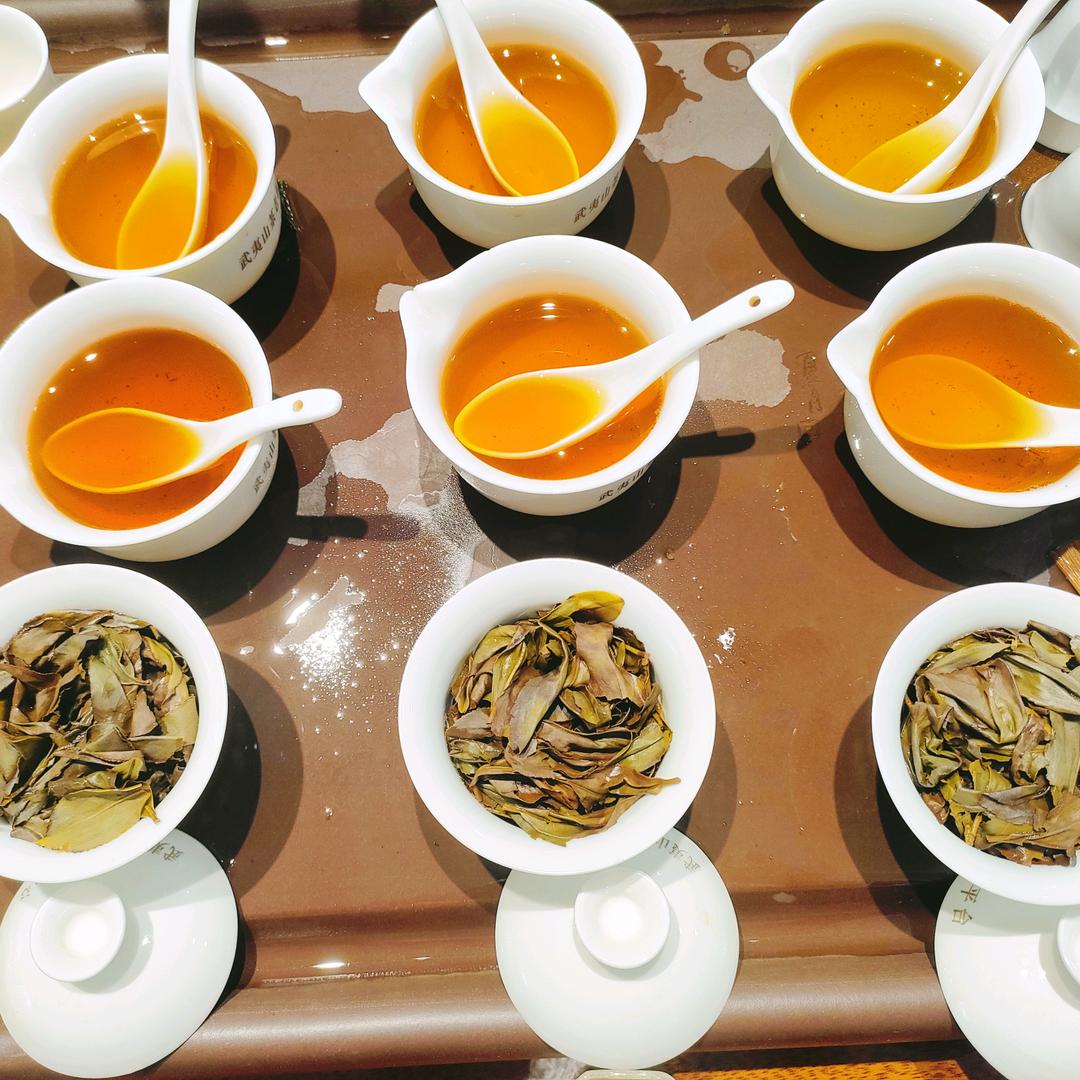 武夷寻茶