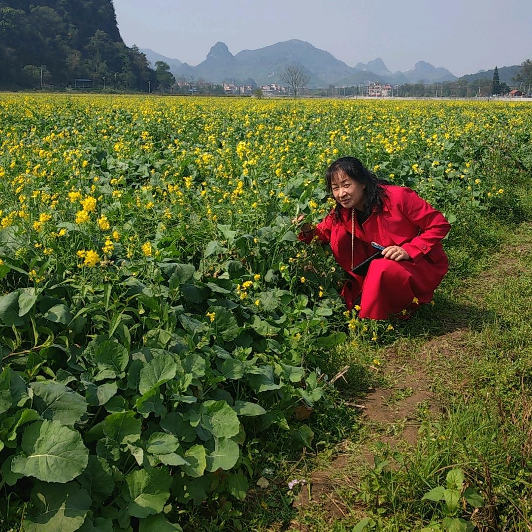 鸿运玻璃丝印，铜条加工