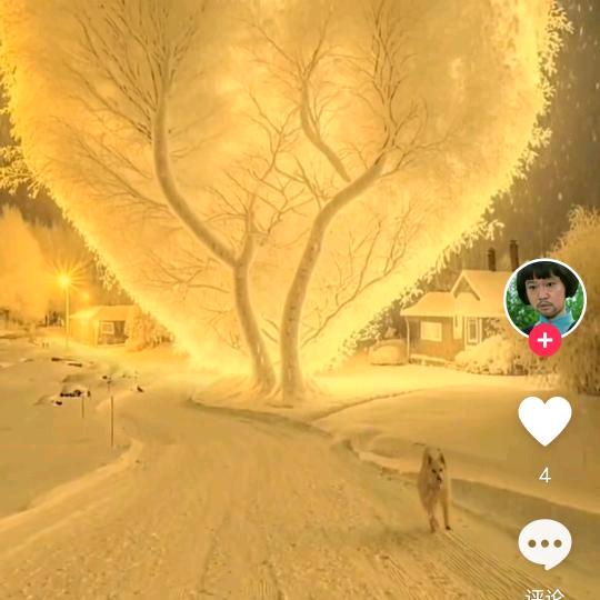 雪