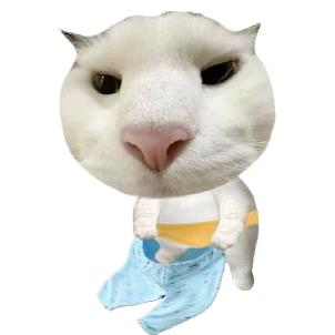 灿灿大王