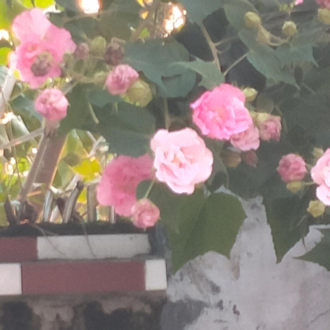 相信明天更美好