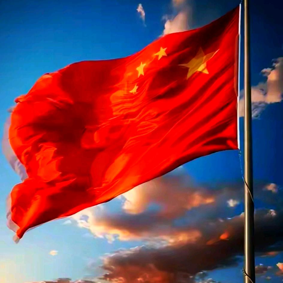 骑上大象周游世界