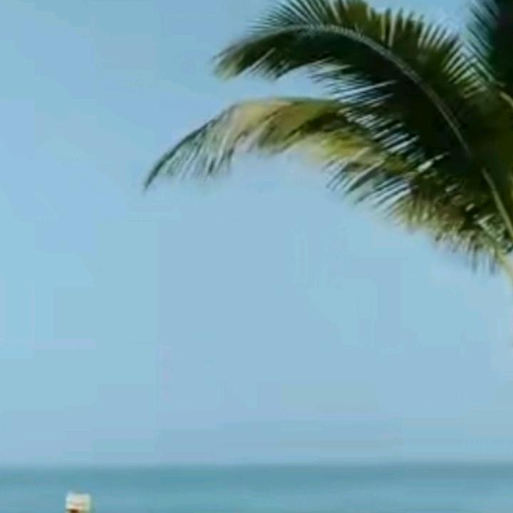 欣雨