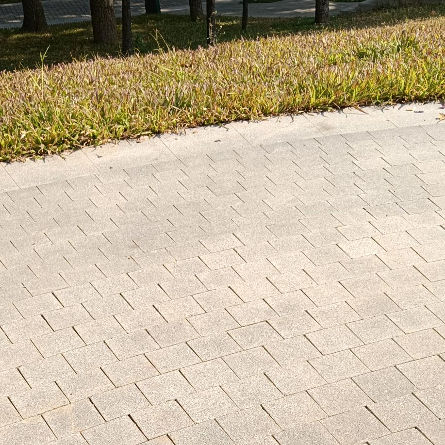 小龙儿🌺