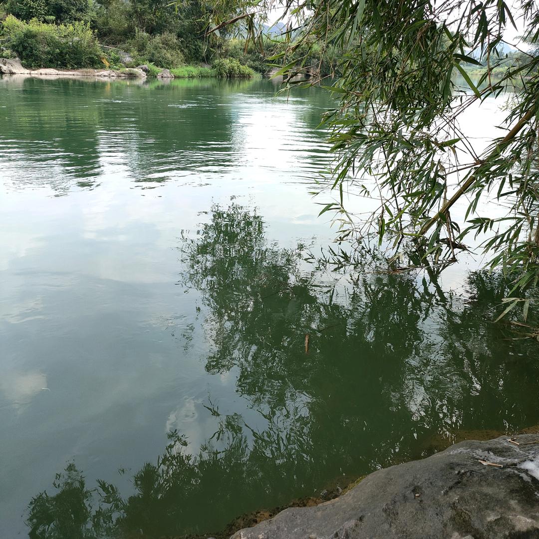 王快乐