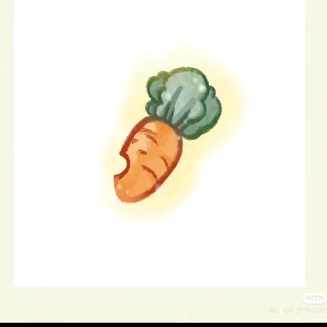 爱吃萝卜头🥕