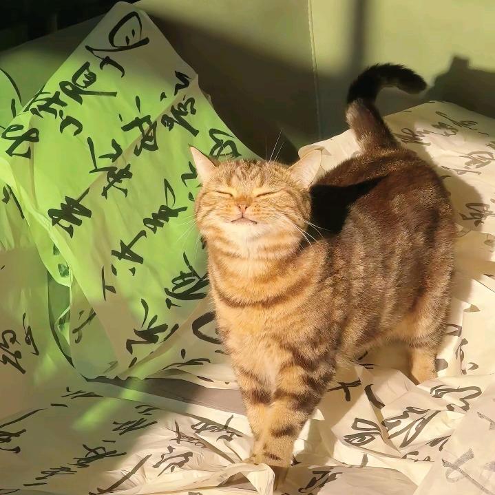 不想长大