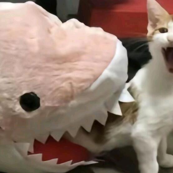 临渊
